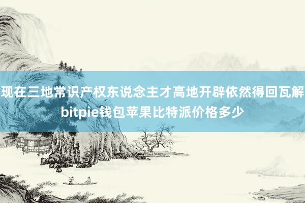 现在三地常识产权东说念主才高地开辟依然得回瓦解bitpie钱包苹果比特派价格多少