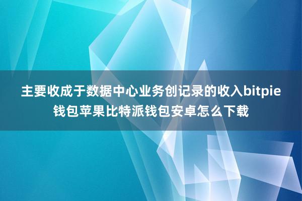 主要收成于数据中心业务创记录的收入bitpie钱包苹果比特派钱包安卓怎么下载