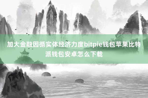 加大金融因循实体经济力度bitpie钱包苹果比特派钱包安卓怎么下载