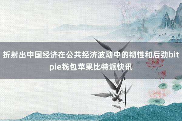 折射出中国经济在公共经济波动中的韧性和后劲bitpie钱包苹果比特派快讯