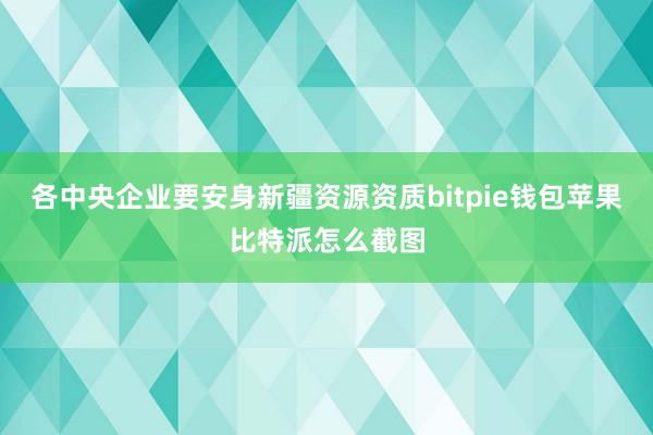 各中央企业要安身新疆资源资质bitpie钱包苹果比特派怎么截图