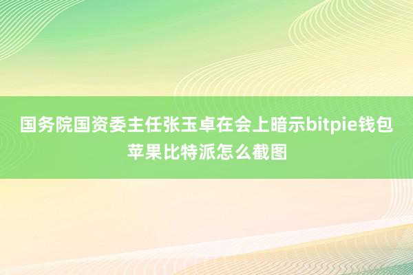 国务院国资委主任张玉卓在会上暗示bitpie钱包苹果比特派怎么截图