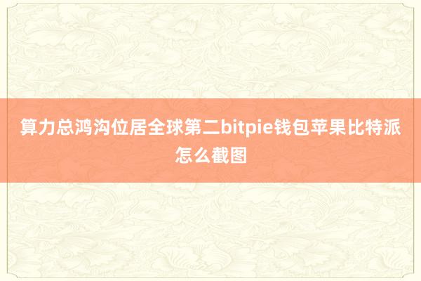 算力总鸿沟位居全球第二bitpie钱包苹果比特派怎么截图