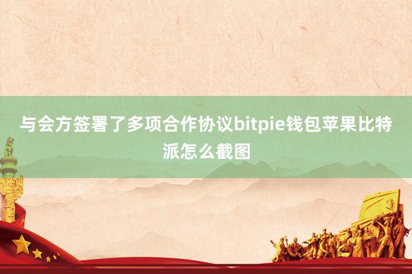 与会方签署了多项合作协议bitpie钱包苹果比特派怎么截图