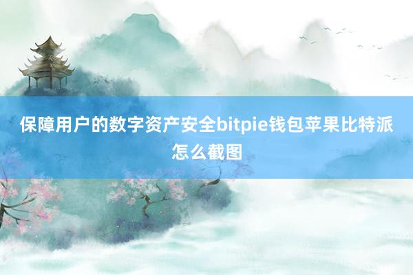 保障用户的数字资产安全bitpie钱包苹果比特派怎么截图