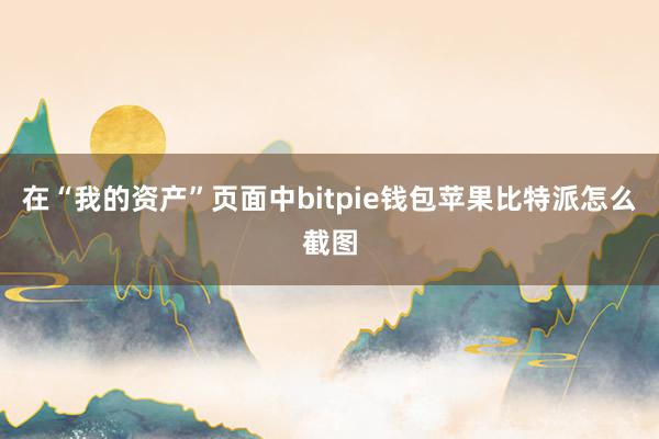 在“我的资产”页面中bitpie钱包苹果比特派怎么截图