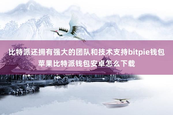 比特派还拥有强大的团队和技术支持bitpie钱包苹果比特派钱包安卓怎么下载