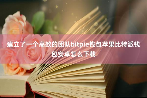 建立了一个高效的团队bitpie钱包苹果比特派钱包安卓怎么下载