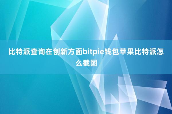 比特派查询在创新方面bitpie钱包苹果比特派怎么截图