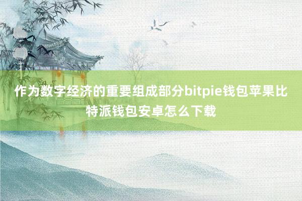 作为数字经济的重要组成部分bitpie钱包苹果比特派钱包安卓怎么下载