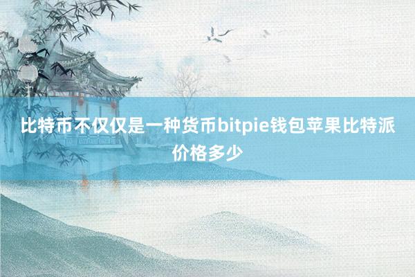 比特币不仅仅是一种货币bitpie钱包苹果比特派价格多少