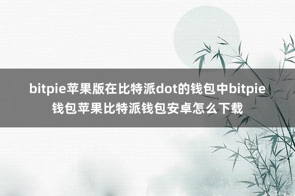 bitpie苹果版在比特派dot的钱包中bitpie钱包苹果比特派钱包安卓怎么下载