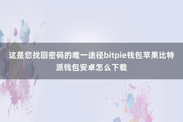 这是您找回密码的唯一途径bitpie钱包苹果比特派钱包安卓怎么下载