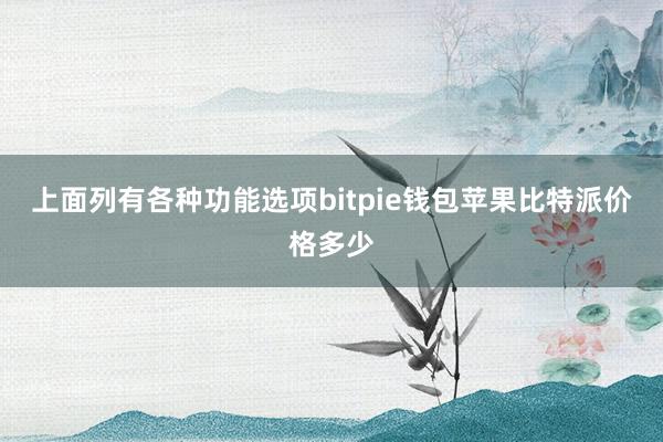 上面列有各种功能选项bitpie钱包苹果比特派价格多少