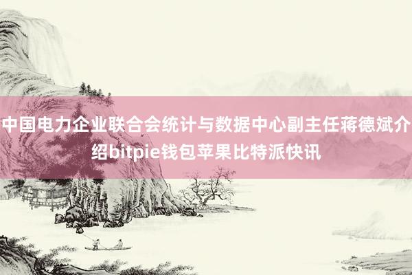 中国电力企业联合会统计与数据中心副主任蒋德斌介绍bitpie钱包苹果比特派快讯