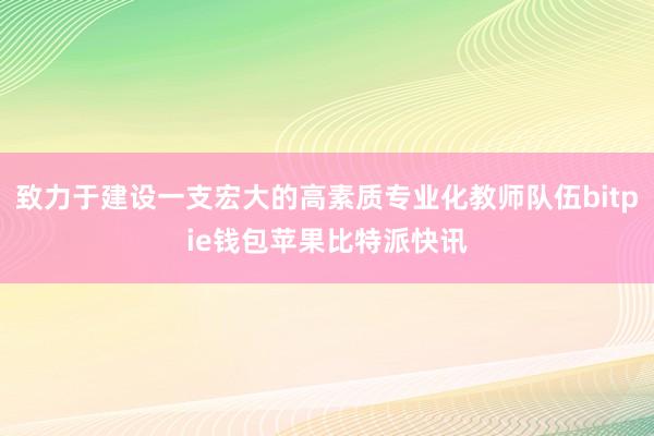 致力于建设一支宏大的高素质专业化教师队伍bitpie钱包苹果比特派快讯