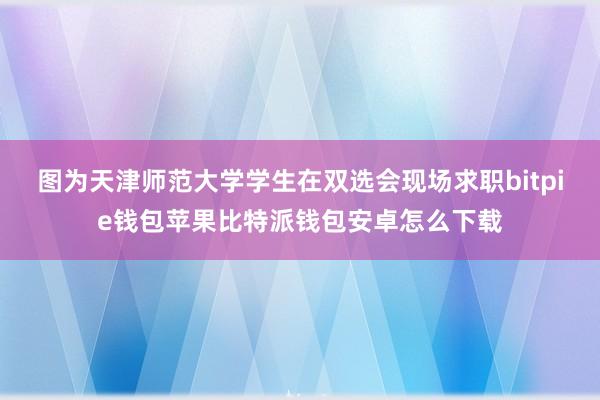 图为天津师范大学学生在双选会现场求职bitpie钱包苹果比特派钱包安卓怎么下载