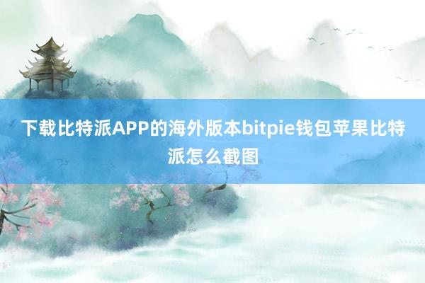 下载比特派APP的海外版本bitpie钱包苹果比特派怎么截图