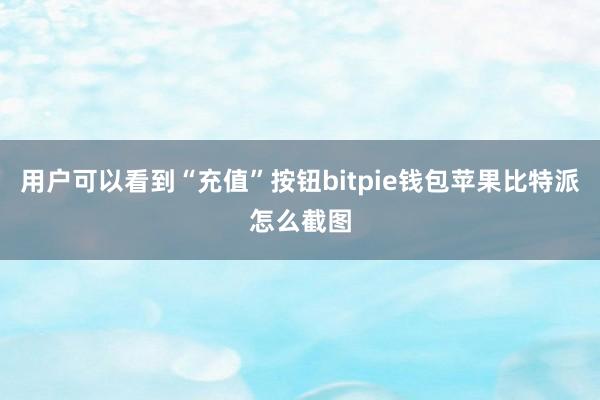 用户可以看到“充值”按钮bitpie钱包苹果比特派怎么截图