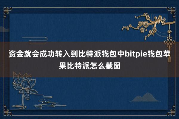 资金就会成功转入到比特派钱包中bitpie钱包苹果比特派怎么截图