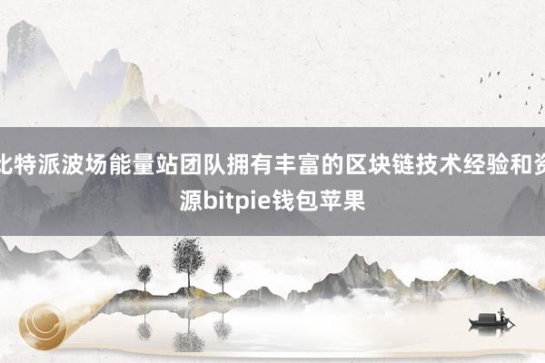 比特派波场能量站团队拥有丰富的区块链技术经验和资源bitpie钱包苹果