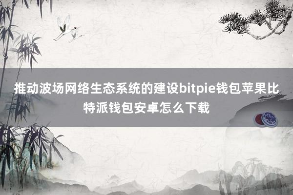 推动波场网络生态系统的建设bitpie钱包苹果比特派钱包安卓怎么下载