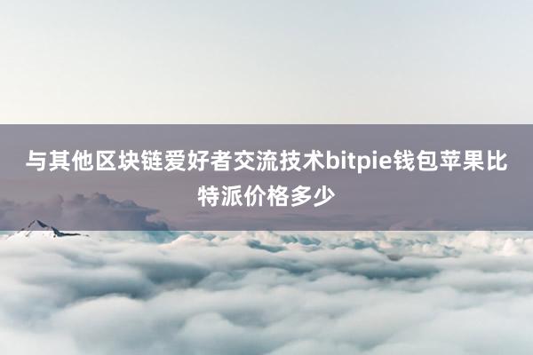 与其他区块链爱好者交流技术bitpie钱包苹果比特派价格多少