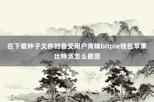 在下载种子文件时备受用户青睐bitpie钱包苹果比特派怎么截图