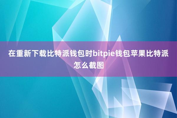 在重新下载比特派钱包时bitpie钱包苹果比特派怎么截图