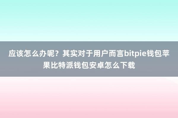 应该怎么办呢？其实对于用户而言bitpie钱包苹果比特派钱包安卓怎么下载