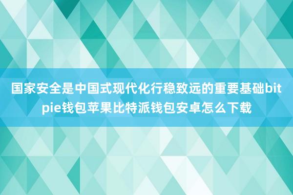 国家安全是中国式现代化行稳致远的重要基础bitpie钱包苹果比特派钱包安卓怎么下载