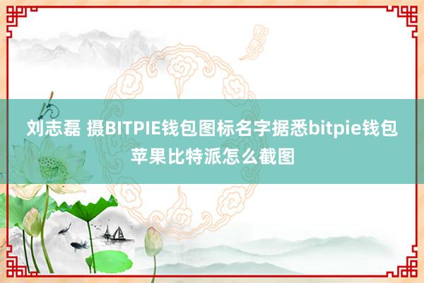 刘志磊 摄BITPIE钱包图标名字据悉bitpie钱包苹果比特派怎么截图