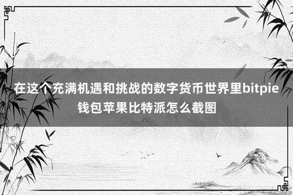 在这个充满机遇和挑战的数字货币世界里bitpie钱包苹果比特派怎么截图