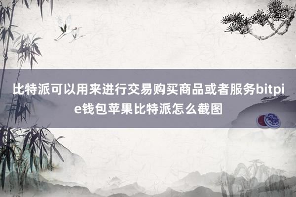 比特派可以用来进行交易购买商品或者服务bitpie钱包苹果比特派怎么截图