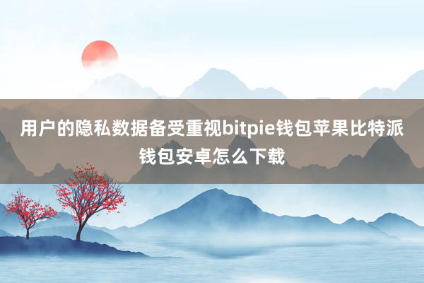 用户的隐私数据备受重视bitpie钱包苹果比特派钱包安卓怎么下载