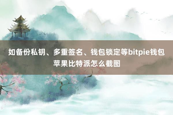 如备份私钥、多重签名、钱包锁定等bitpie钱包苹果比特派怎么截图