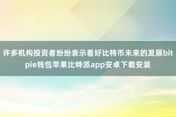 许多机构投资者纷纷表示看好比特币未来的发展bitpie钱包苹果比特派app安卓下载安装