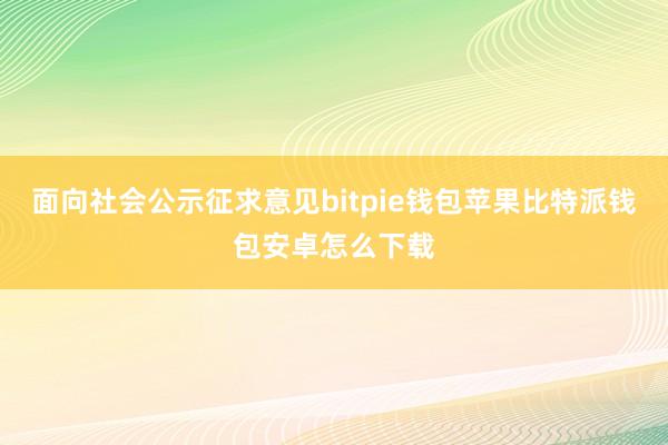 面向社会公示征求意见bitpie钱包苹果比特派钱包安卓怎么下载