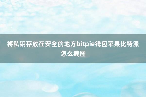 将私钥存放在安全的地方bitpie钱包苹果比特派怎么截图