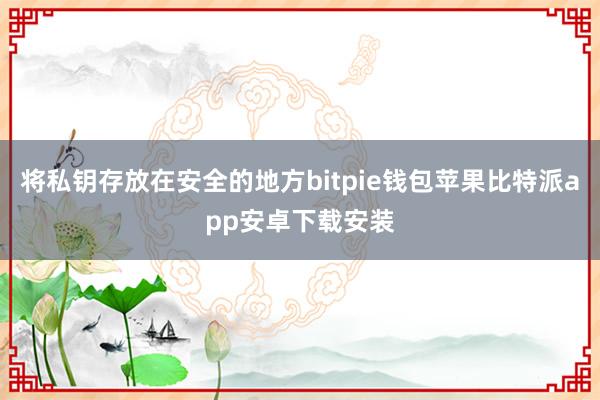 将私钥存放在安全的地方bitpie钱包苹果比特派app安卓下载安装