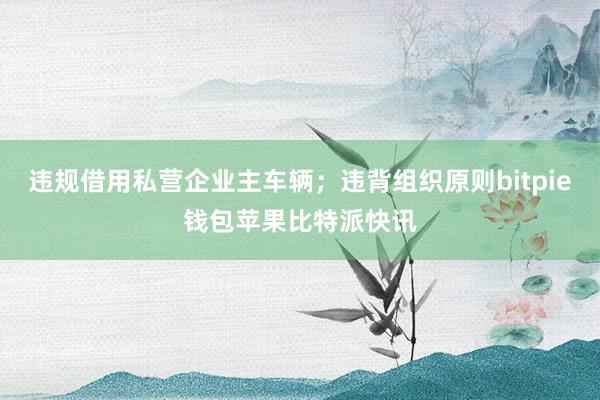 违规借用私营企业主车辆；违背组织原则bitpie钱包苹果比特派快讯