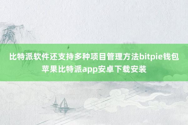 比特派软件还支持多种项目管理方法bitpie钱包苹果比特派app安卓下载安装