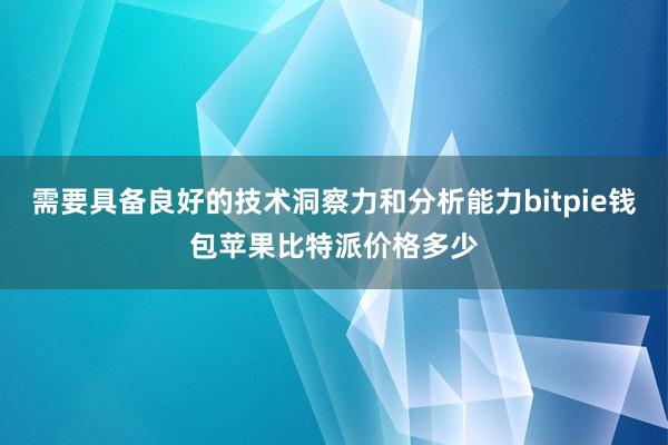 需要具备良好的技术洞察力和分析能力bitpie钱包苹果比特派价格多少