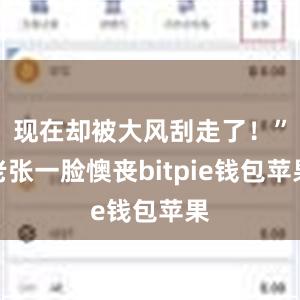 现在却被大风刮走了！”老张一脸懊丧bitpie钱包苹果