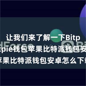 让我们来了解一下Bitpie钱包bitpie钱包苹果比特派钱包安卓怎么下载