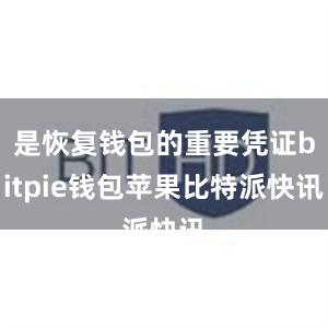 是恢复钱包的重要凭证bitpie钱包苹果比特派快讯