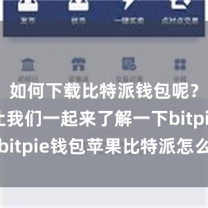 如何下载比特派钱包呢？下面就让我们一起来了解一下bitpie钱包苹果比特派怎么截图