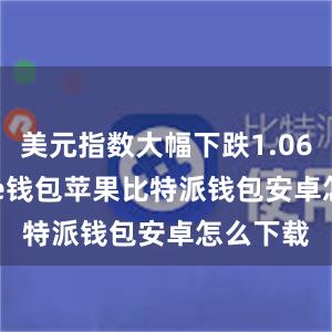 美元指数大幅下跌1.06%bitpie钱包苹果比特派钱包安卓怎么下载