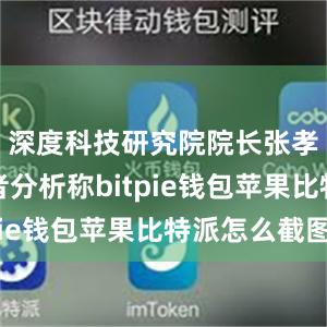 深度科技研究院院长张孝荣对记者分析称bitpie钱包苹果比特派怎么截图