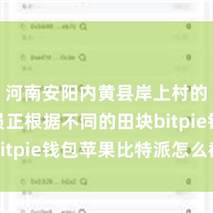 河南安阳内黄县岸上村的农技人员正根据不同的田块bitpie钱包苹果比特派怎么截图